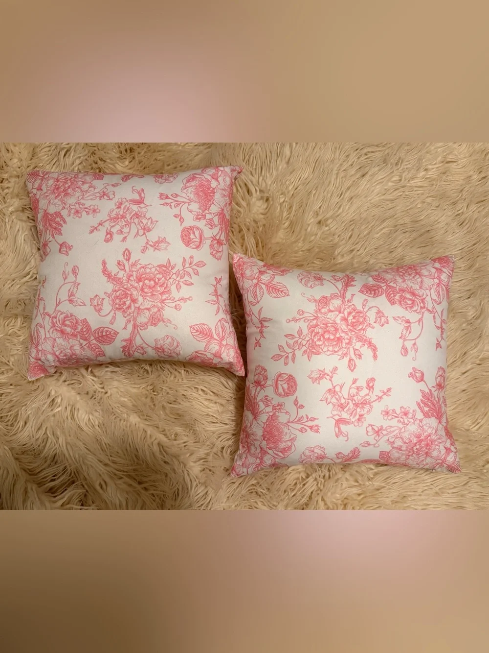 Set of 2 decorative throw pillows
